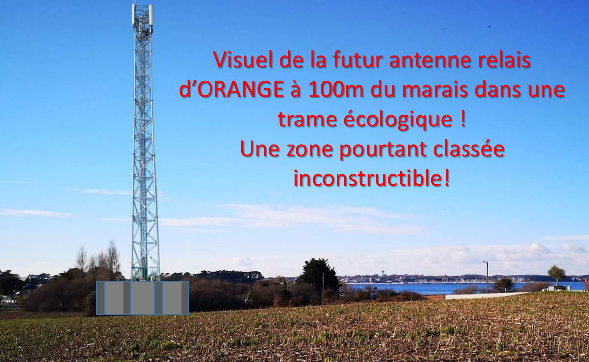 Antenne_relais_Orange_sur_le_marais._.png