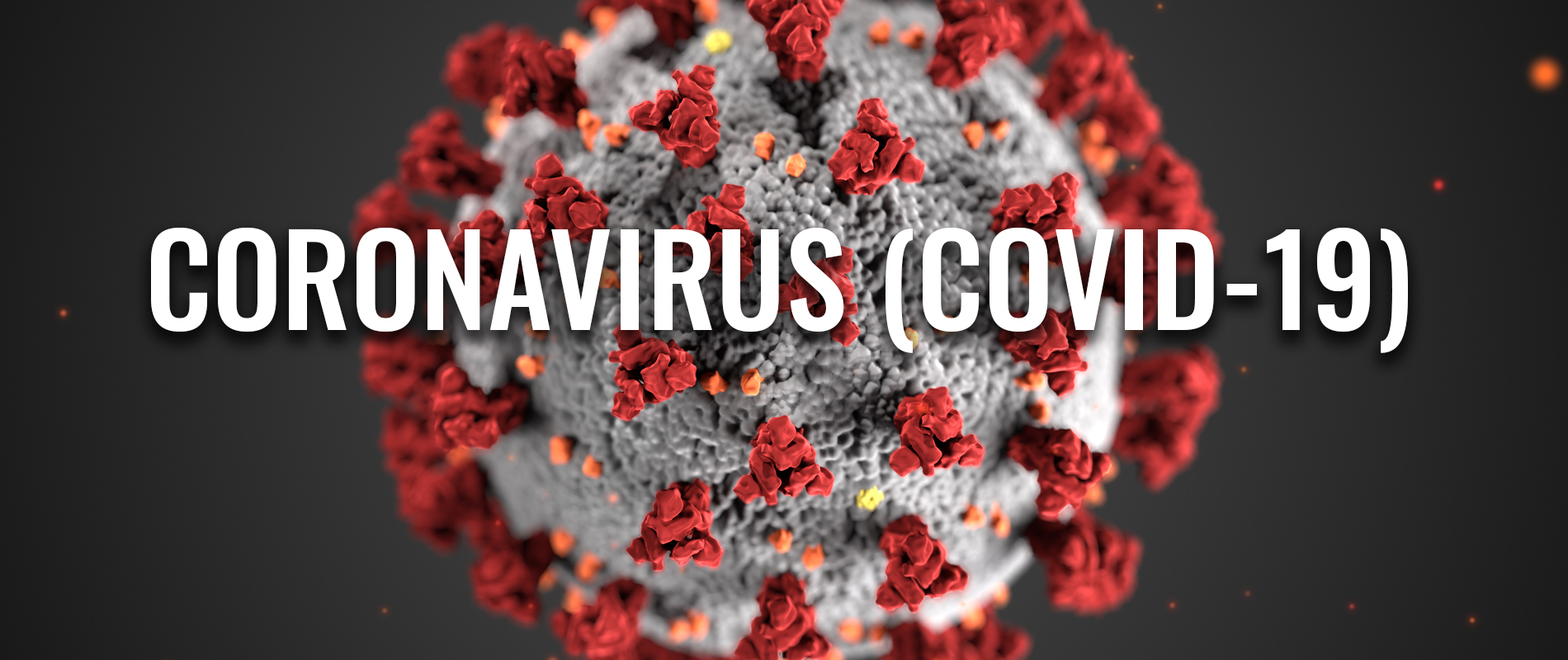 CoronaVirus.jpg