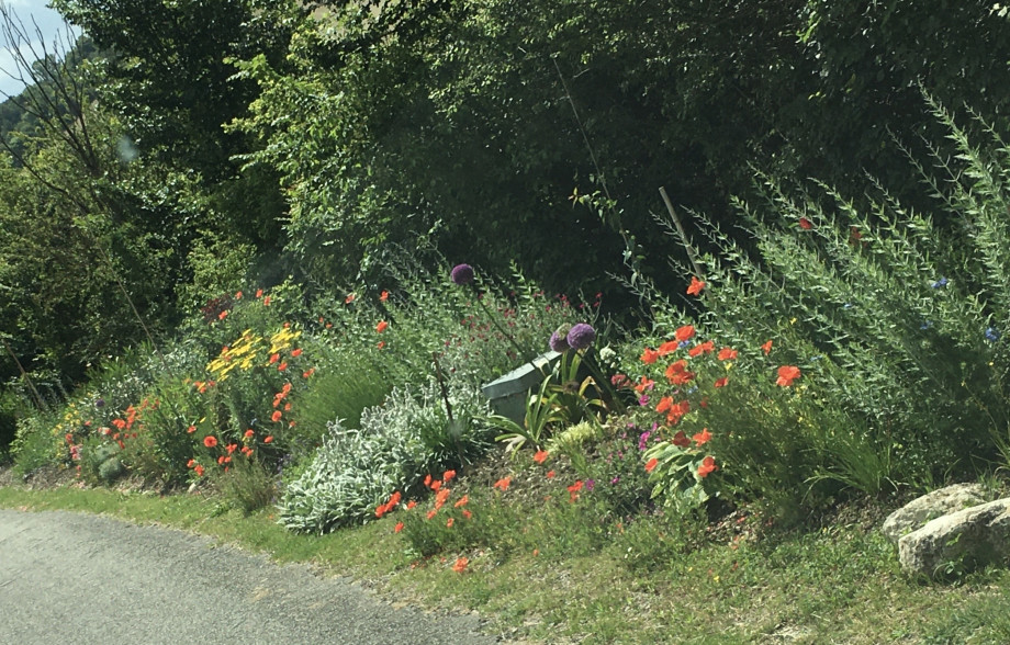 IMG_5728.jpeg