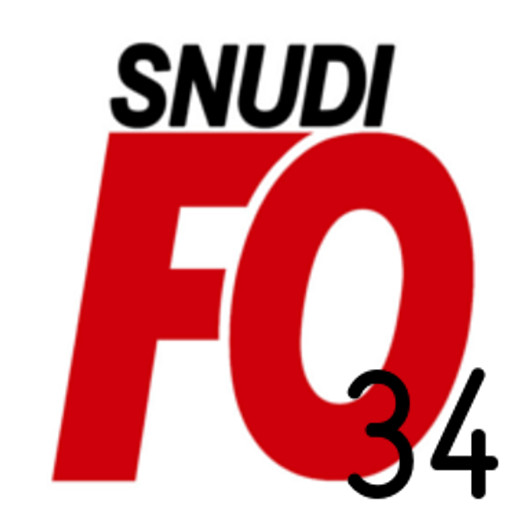 LOGO_SITE_SNUDI-FO341.jpg