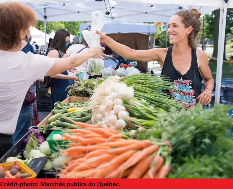 March&eacute;s_publics_du_Qu&eacute;bec.jpg